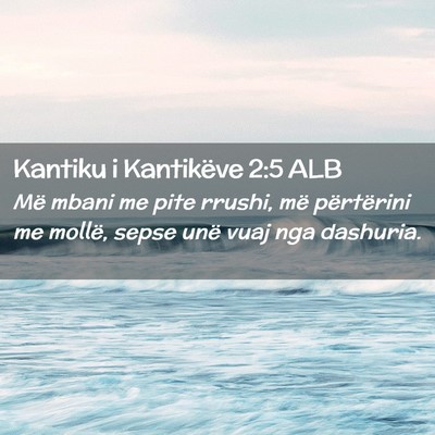Picture 02 - Kantiku i Kantikëve 2:5 ALB - Më mbani me pite rrushi, më përtërini me - Bible Verse Picture