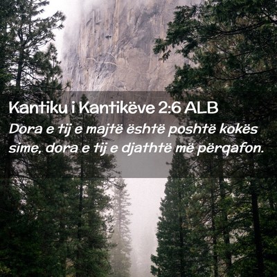Picture 02 - Kantiku i Kantikëve 2:6 ALB - Dora e tij e majtë është poshtë kokës sime, - Bible Verse Picture