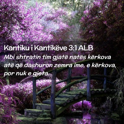 Picture 02 - Kantiku i Kantikëve 3:1 ALB - Mbi shtratin tim gjatë natës kërkova atë që - Bible Verse Picture