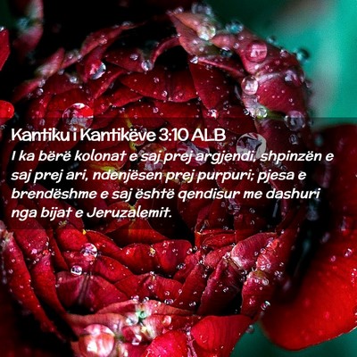 Picture 02 - Kantiku i Kantikëve 3:10 ALB - I ka bërë kolonat e saj prej argjendi, - Bible Verse Picture