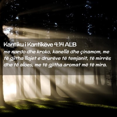 Picture 02 - Kantiku i Kantikëve 4:14 ALB - me nardo dhe kroko, kanellë dhe çinamom, me të - Bible Verse Picture