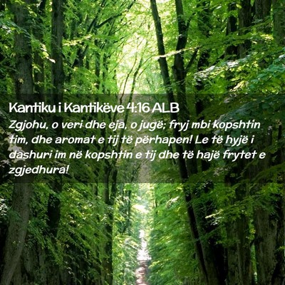 Picture 02 - Kantiku i Kantikëve 4:16 ALB - Zgjohu, o veri dhe eja, o jugë; fryj mbi - Bible Verse Picture