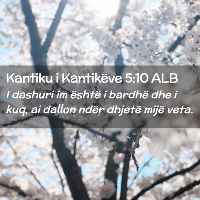 Picture 02 - Kantiku i Kantikëve 5:10 ALB - I dashuri im është i bardhë dhe i kuq, ai - Bible Verse Picture
