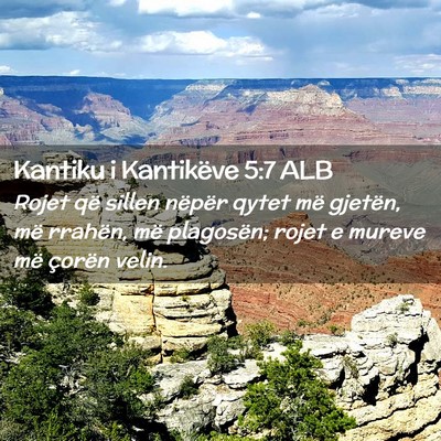 Picture 02 - Kantiku i Kantikëve 5:7 ALB - Rojet që sillen nëpër qytet më gjetën, më - Bible Verse Picture