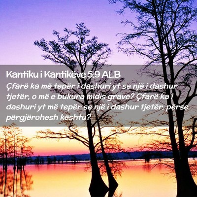 Picture 02 - Kantiku i Kantikëve 5:9 ALB - Çfarë ka më tepër i dashuri yt se një i - Bible Verse Picture