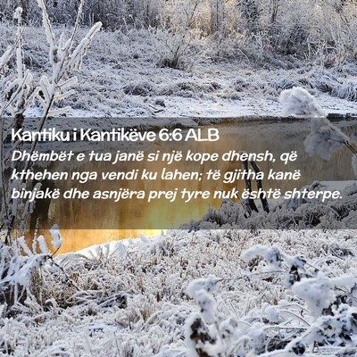 Picture 02 - Kantiku i Kantikëve 6:6 ALB - Dhëmbët e tua janë si një kope dhensh, që - Bible Verse Picture