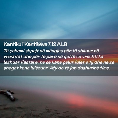 Picture 02 - Kantiku i Kantikëve 7:12 ALB - Të çohemi shpejt në mëngjes për të shkuar - Bible Verse Picture