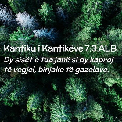 Picture 02 - Kantiku i Kantikëve 7:3 ALB - Dy sisët e tua janë si dy kaproj të vegjel, - Bible Verse Picture