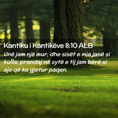 Picture 02 - Kantiku i Kantikëve 8:10 ALB - Unë jam një mur, dhe sisët e mia janë si - Bible Verse Picture