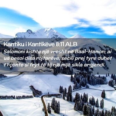 Picture 02 - Kantiku i Kantikëve 8:11 ALB - Salomoni kishte një vresht në Baal-Hamon; ai ua - Bible Verse Picture