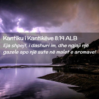 Picture 02 - Kantiku i Kantikëve 8:14 ALB - Eja shpejt, i dashuri im, dhe ngjaji një gazele - Bible Verse Picture