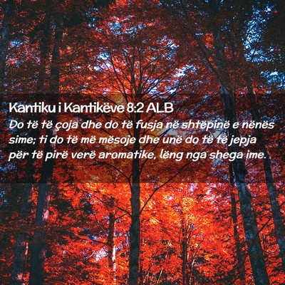 Picture 02 - Kantiku i Kantikëve 8:2 ALB - Do të të çoja dhe do të fusja në shtëpinë - Bible Verse Picture