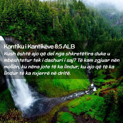 Picture 02 - Kantiku i Kantikëve 8:5 ALB - Kush është ajo që del nga shkretëtira duke u - Bible Verse Picture