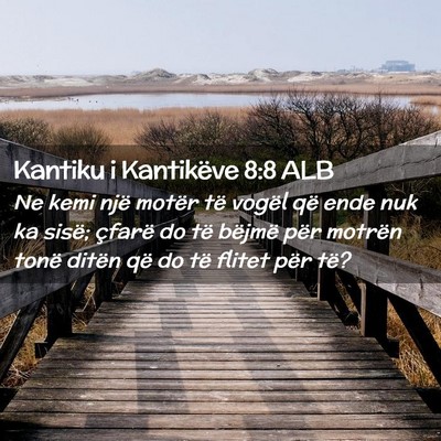 Picture 02 - Kantiku i Kantikëve 8:8 ALB - Ne kemi një motër të vogël që ende nuk ka - Bible Verse Picture