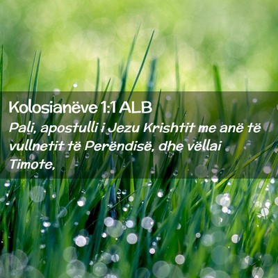 Picture 02 - Kolosianëve 1:1 ALB - Pali, apostulli i Jezu Krishtit me anë të - Bible Verse Picture