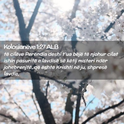 Picture 02 - Kolosianëve 1:27 ALB - të cilëve Perëndia deshi t’ua bëjë të - Bible Verse Picture