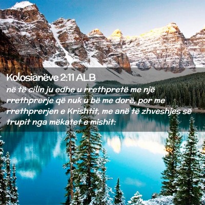 Picture 02 - Kolosianëve 2:11 ALB - në të cilin ju edhe u rrethpretë me një - Bible Verse Picture