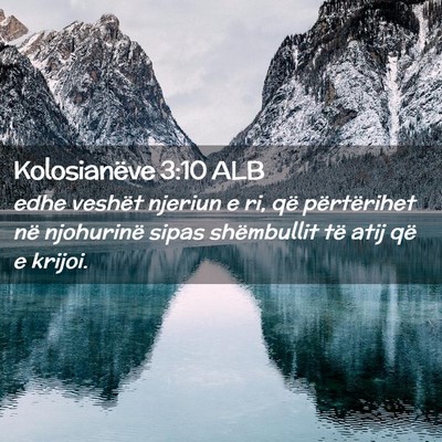 Picture 02 - Kolosianëve 3:10 ALB - edhe veshët njeriun e ri, që përtërihet në - Bible Verse Picture