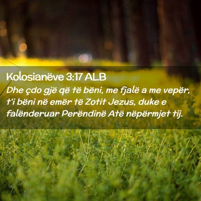 Picture 02 - Kolosianëve 3:17 ALB - Dhe çdo gjë që të bëni, me fjalë a me - Bible Verse Picture