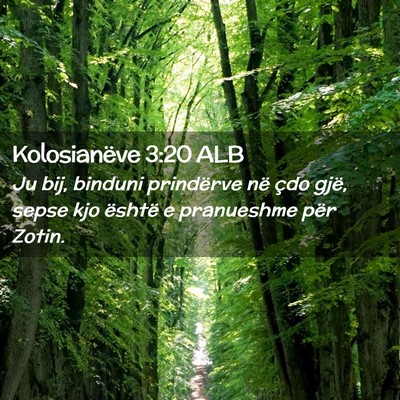 Picture 02 - Kolosianëve 3:20 ALB - Ju bij, binduni prindërve në çdo gjë, sepse - Bible Verse Picture