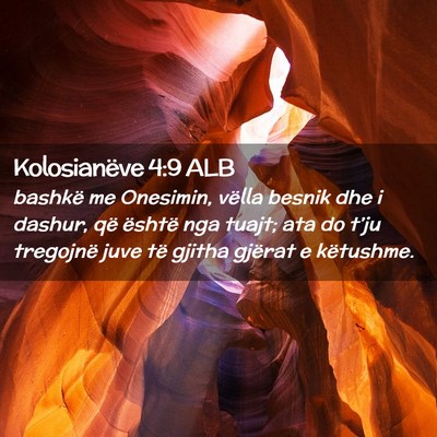 Picture 02 - Kolosianëve 4:9 ALB - bashkë me Onesimin, vëlla besnik dhe i dashur, - Bible Verse Picture