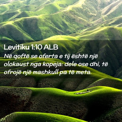 Picture 02 - Levitiku 1:10 ALB - Në qoftë se oferta e tij është një olokaust - Bible Verse Picture