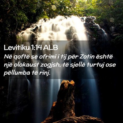 Picture 02 - Levitiku 1:14 ALB - Në qoftë se ofrimi i tij për Zotin është - Bible Verse Picture