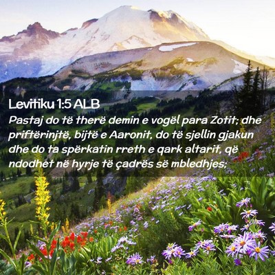 Picture 02 - Levitiku 1:5 ALB - Pastaj do të therë demin e vogël para Zotit; - Bible Verse Picture