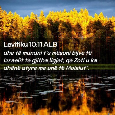 Picture 02 - Levitiku 10:11 ALB - dhe të mundni t’u mësoni bijve të Izraelit - Bible Verse Picture