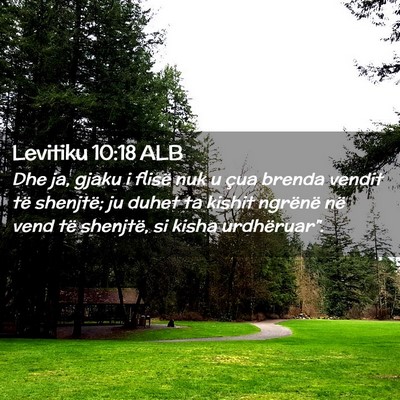 Picture 02 - Levitiku 10:18 ALB - Dhe ja, gjaku i flisë nuk u çua brenda vendit - Bible Verse Picture