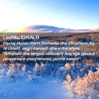 Picture 02 - Levitiku 10:4 ALB - Pastaj Moisiu thirri Mishaelin dhe Eltsafanin, - Bible Verse Picture