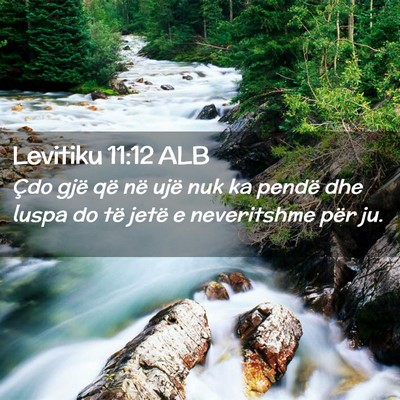 Picture 02 - Levitiku 11:12 ALB - Çdo gjë që në ujë nuk ka pendë dhe luspa do - Bible Verse Picture