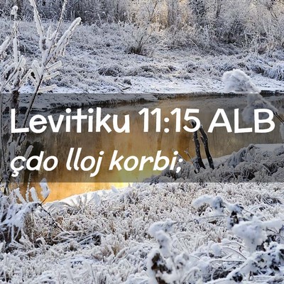 Picture 02 - Levitiku 11:15 ALB - çdo lloj - Bible Verse Picture