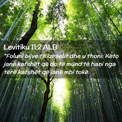 Picture 02 - Levitiku 11:2 ALB - 