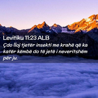 Picture 02 - Levitiku 11:23 ALB - Çdo lloj tjetër insekti me krahë që ka katër - Bible Verse Picture