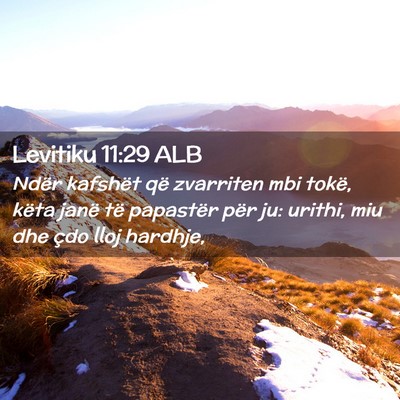 Picture 02 - Levitiku 11:29 ALB - Ndër kafshët që zvarriten mbi tokë, këta - Bible Verse Picture