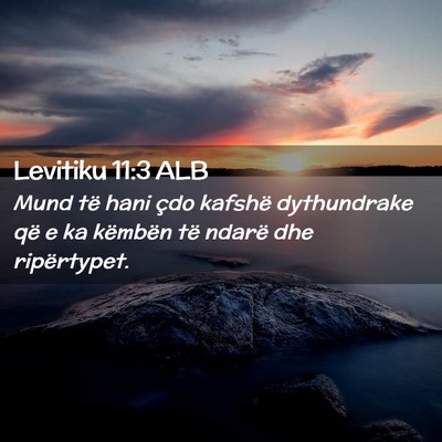 Picture 02 - Levitiku 11:3 ALB - Mund të hani çdo kafshë dythundrake që e ka - Bible Verse Picture
