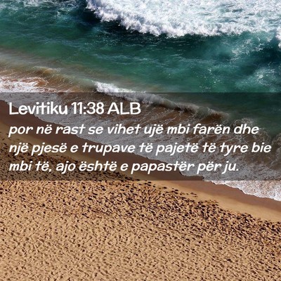 Picture 02 - Levitiku 11:38 ALB - por në rast se vihet ujë mbi farën dhe një - Bible Verse Picture