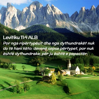 Picture 02 - Levitiku 11:4 ALB - Por nga ripërtypësit dhe nga dythundrakët nuk - Bible Verse Picture