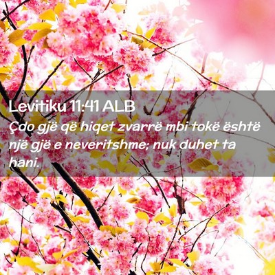 Picture 02 - Levitiku 11:41 ALB - Çdo gjë që hiqet zvarrë mbi tokë është - Bible Verse Picture