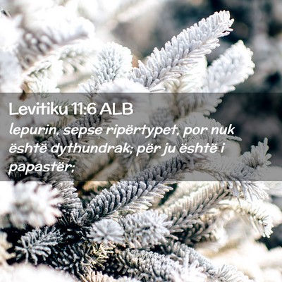 Picture 02 - Levitiku 11:6 ALB - lepurin, sepse ripërtypet, por nuk është - Bible Verse Picture