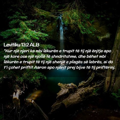Picture 02 - Levitiku 13:2 ALB - 