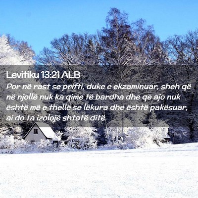 Picture 02 - Levitiku 13:21 ALB - Por në rast se prifti, duke e ekzaminuar, sheh - Bible Verse Picture