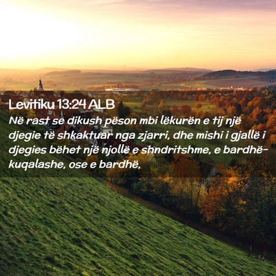 Picture 02 - Levitiku 13:24 ALB - Në rast se dikush pëson mbi lëkurën e tij - Bible Verse Picture