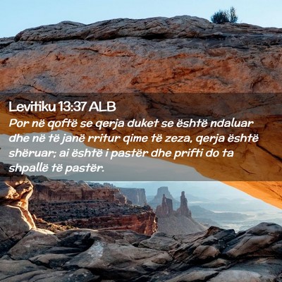 Picture 02 - Levitiku 13:37 ALB - Por në qoftë se qerja duket se është ndaluar - Bible Verse Picture