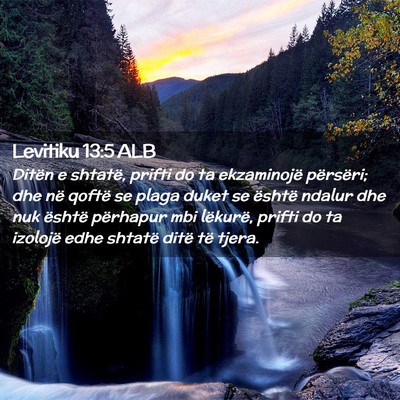 Picture 02 - Levitiku 13:5 ALB - Ditën e shtatë, prifti do ta ekzaminojë - Bible Verse Picture