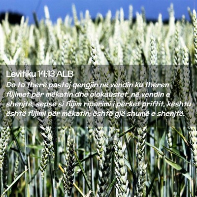 Picture 02 - Levitiku 14:13 ALB - Do ta therë pastaj qengjin në vendin ku theren - Bible Verse Picture