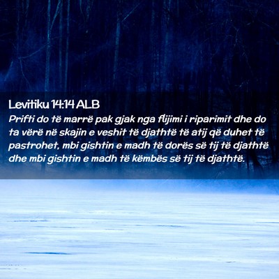 Picture 02 - Levitiku 14:14 ALB - Prifti do të marrë pak gjak nga flijimi i - Bible Verse Picture