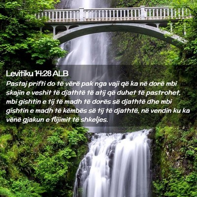 Picture 02 - Levitiku 14:28 ALB - Pastaj prifti do të vërë pak nga vaji që ka - Bible Verse Picture