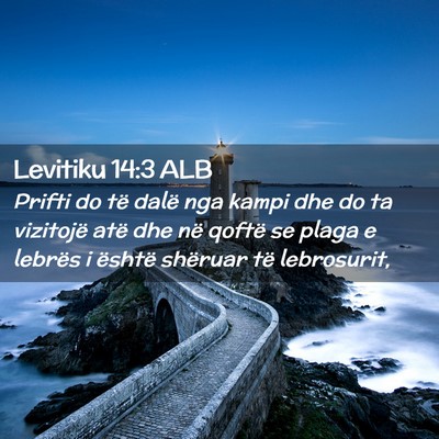 Picture 02 - Levitiku 14:3 ALB - Prifti do të dalë nga kampi dhe do ta vizitojë - Bible Verse Picture